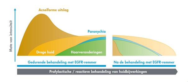 Moment van optreden en intensiteit EGFR-remmer-gerelateerde huidreacties